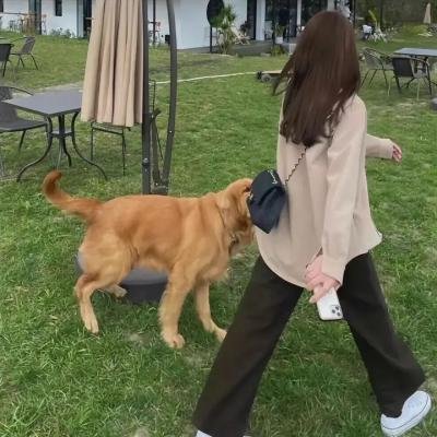 狐狸列那